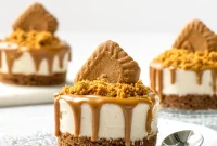 Vegan Biscoff Cheesecake Recipe — Creamy No-Bake Dessert