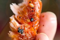 Smoked Salmon with Togarashi Spice Rub Recipe