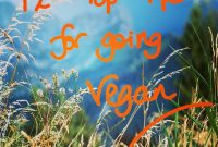 Vegan for Beginners: 12 Practical Tips to Get Started