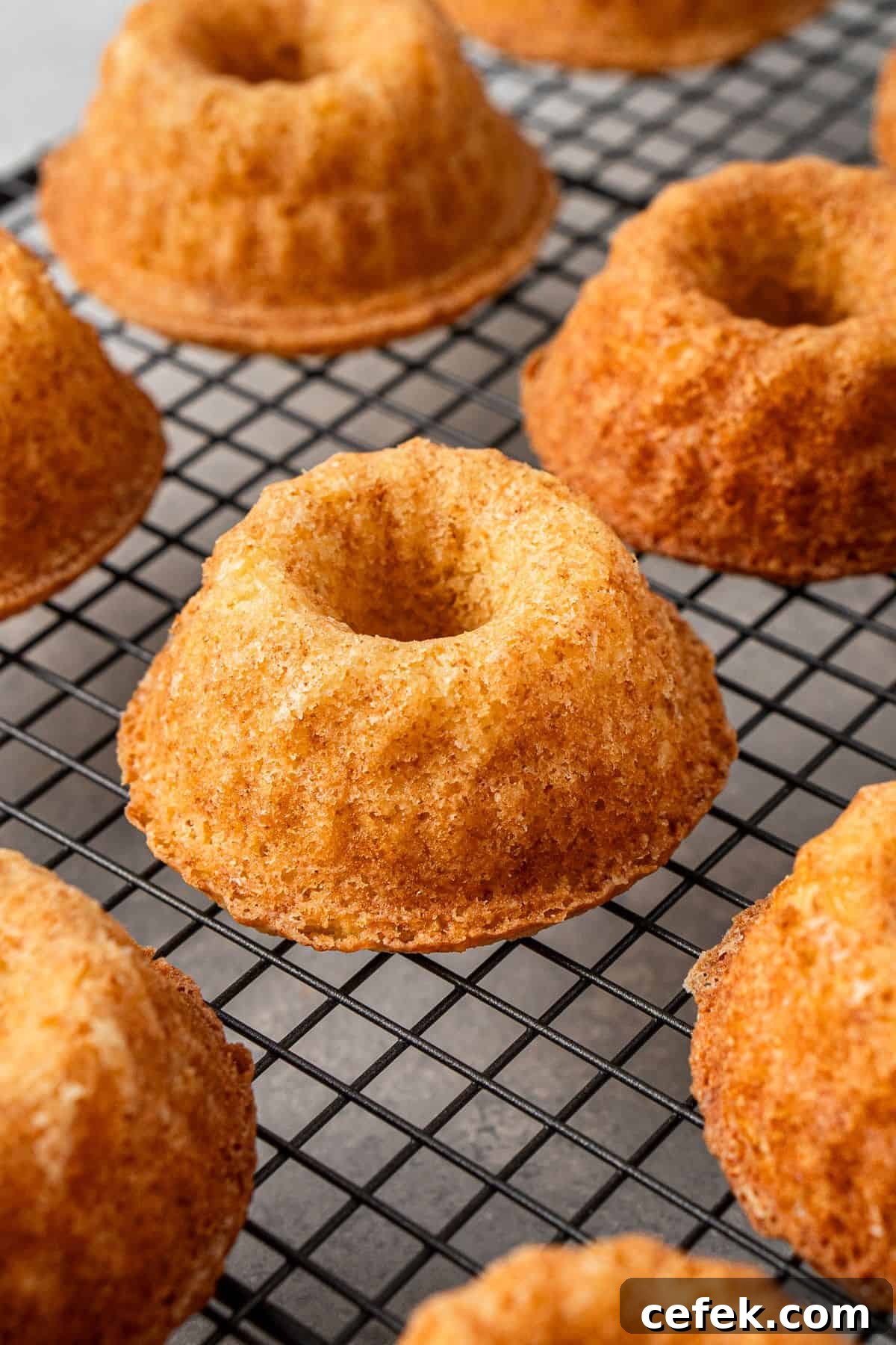 Undecorated mini bundt cakes on a cooling rack.
