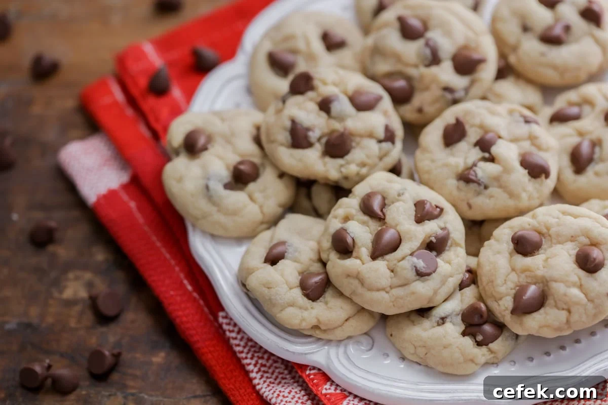 Mini Chocolate Chip Cookies on a white plate