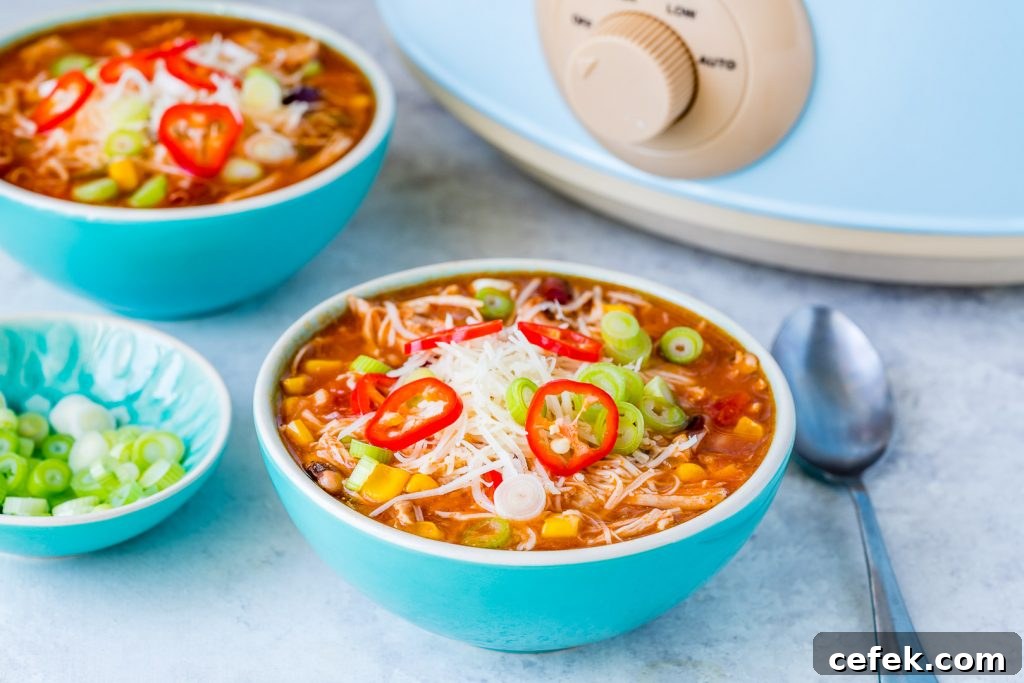 Clean Eating Crockpot Chicken Enchilada Soup