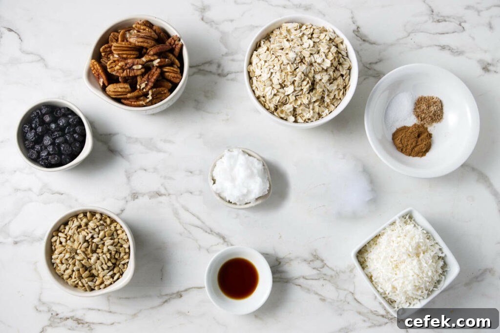 Rolled oats, salt, cinnamon, nutmeg, dried coconut, vanilla extract, coconut oil, sunflower seeds, dried blueberries, and pecans.