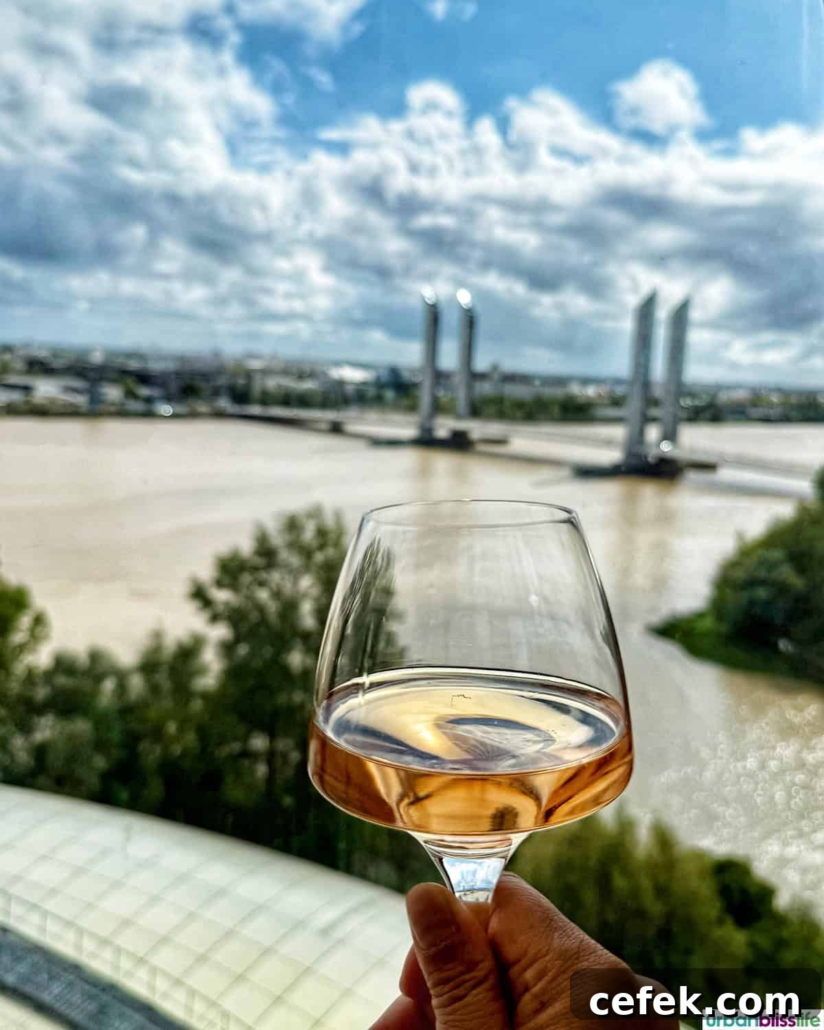 glass of rosé with view of river at La Cite du Vin.