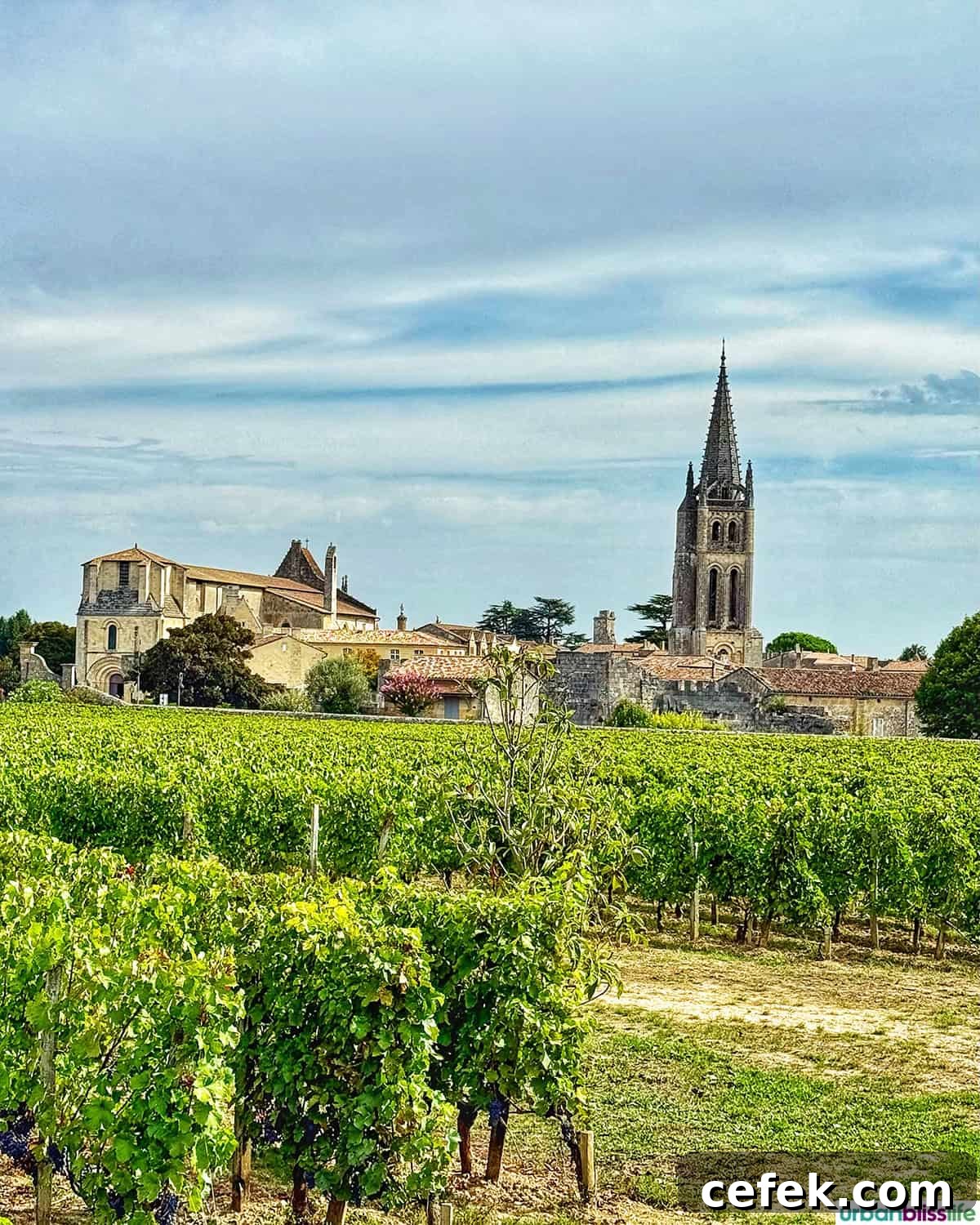 St. Emilion vineyards and city.