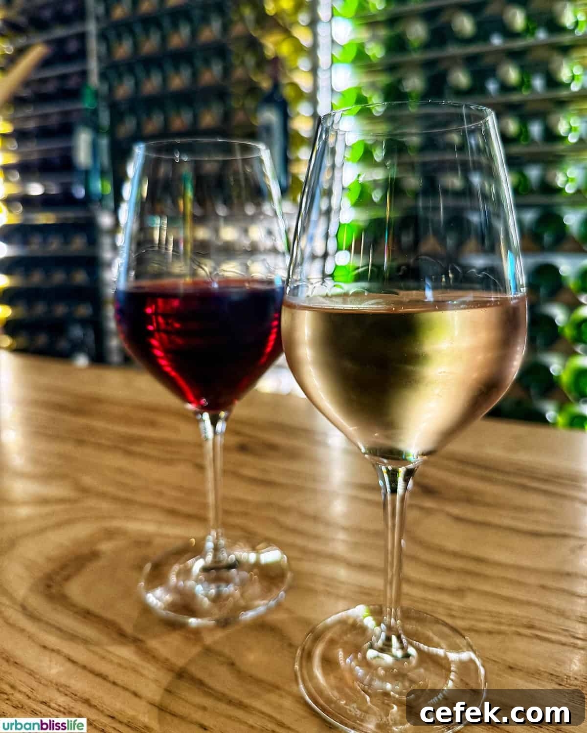 glasses of red wine and white wine in Bar a Vin in Bordeaux, France.