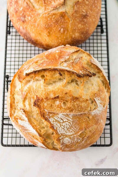 2 loaves of overnight sourdough
