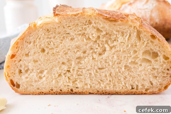 cut into loaf of sourdough