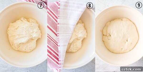 stretched dough in bowl and covered by towel