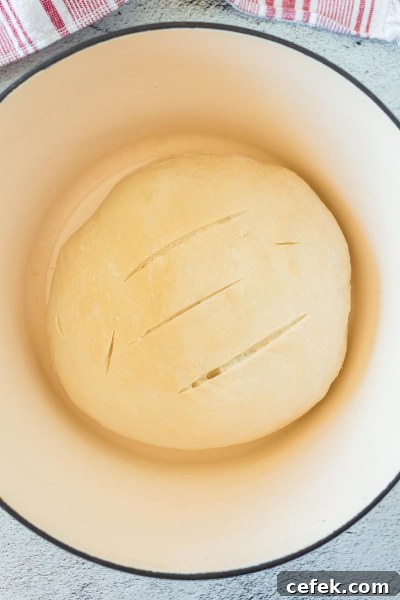 scored loaf of bread