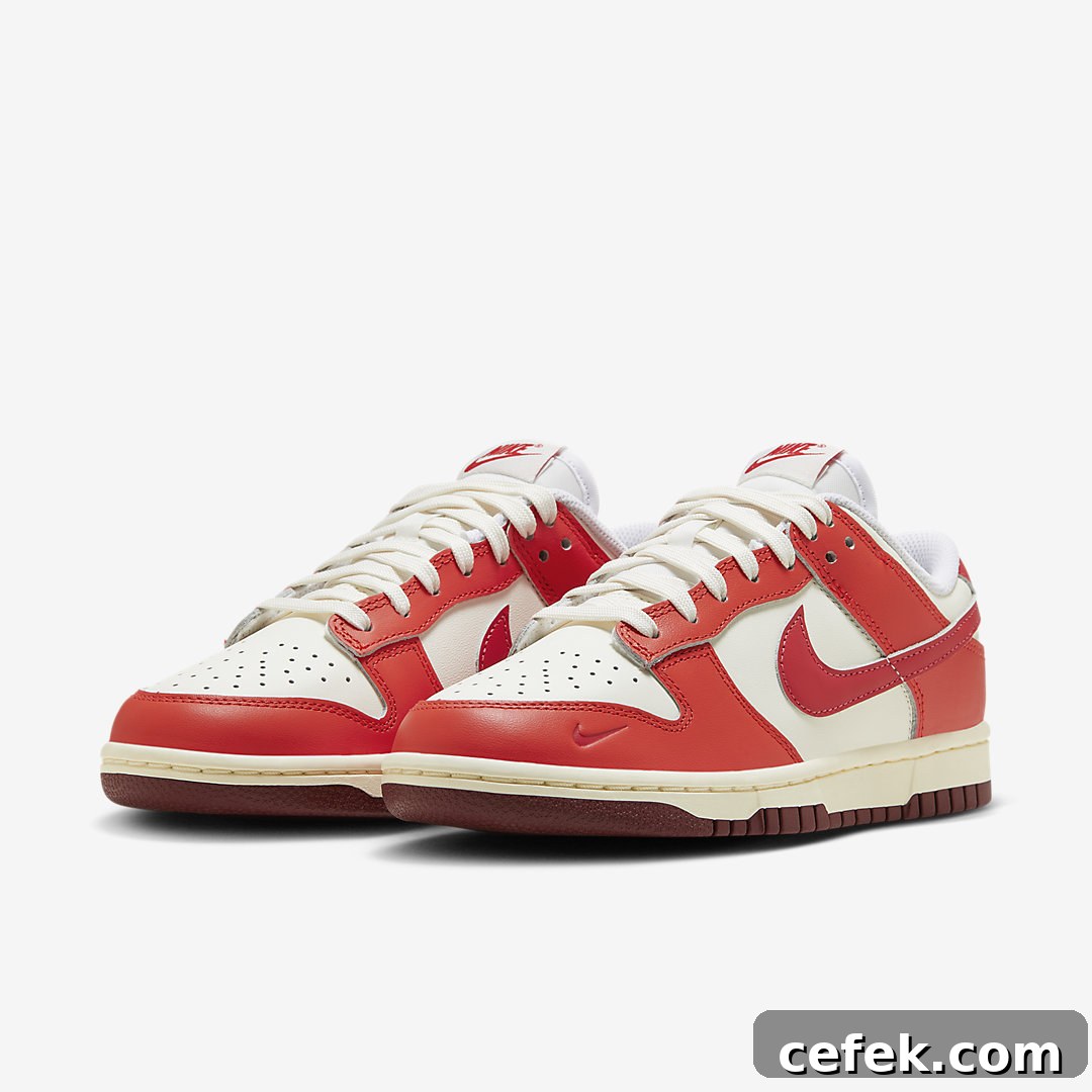 Nike Dunk Low WMNS HJ3491-161