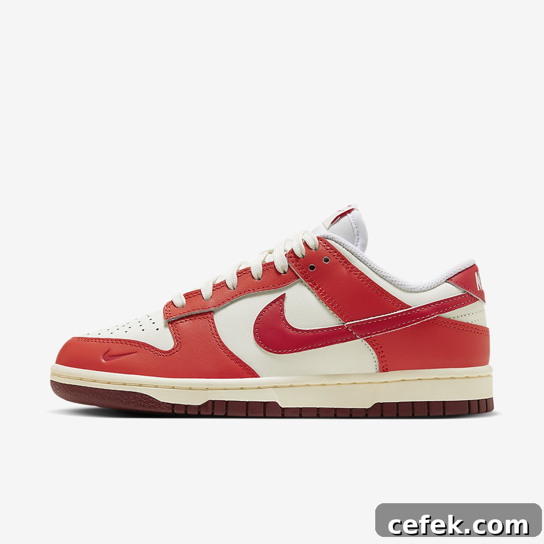 Nike Dunk Low WMNS HJ3491-161