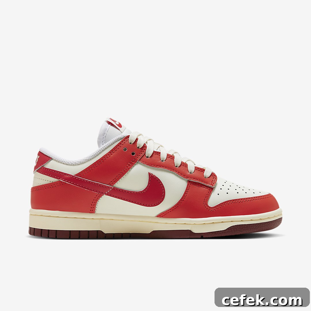 Nike Dunk Low WMNS HJ3491-161