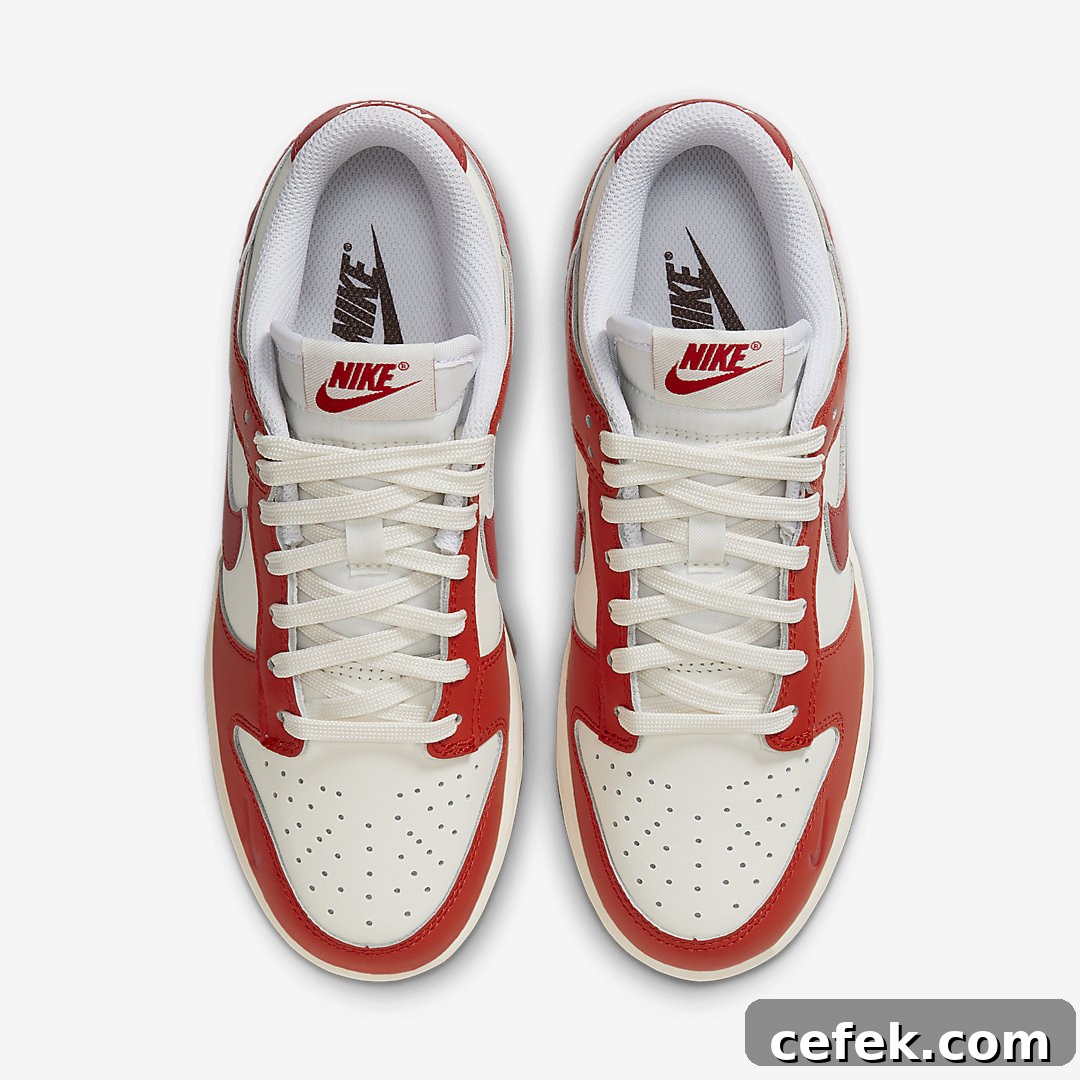 Nike Dunk Low WMNS HJ3491-161