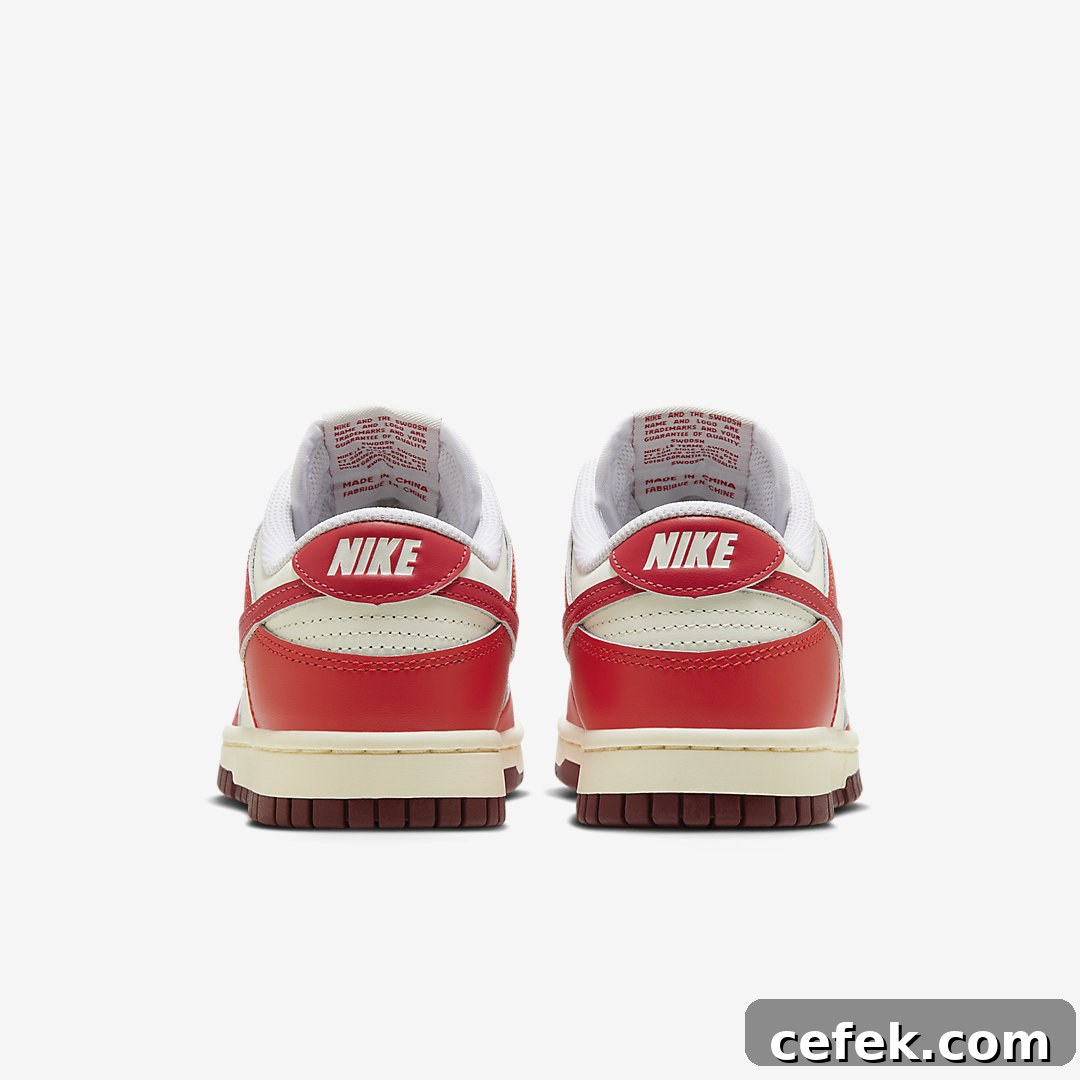 Nike Dunk Low WMNS HJ3491-161