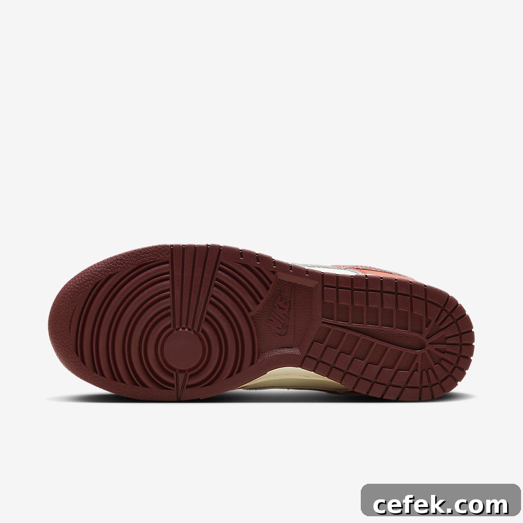 Nike Dunk Low WMNS HJ3491-161