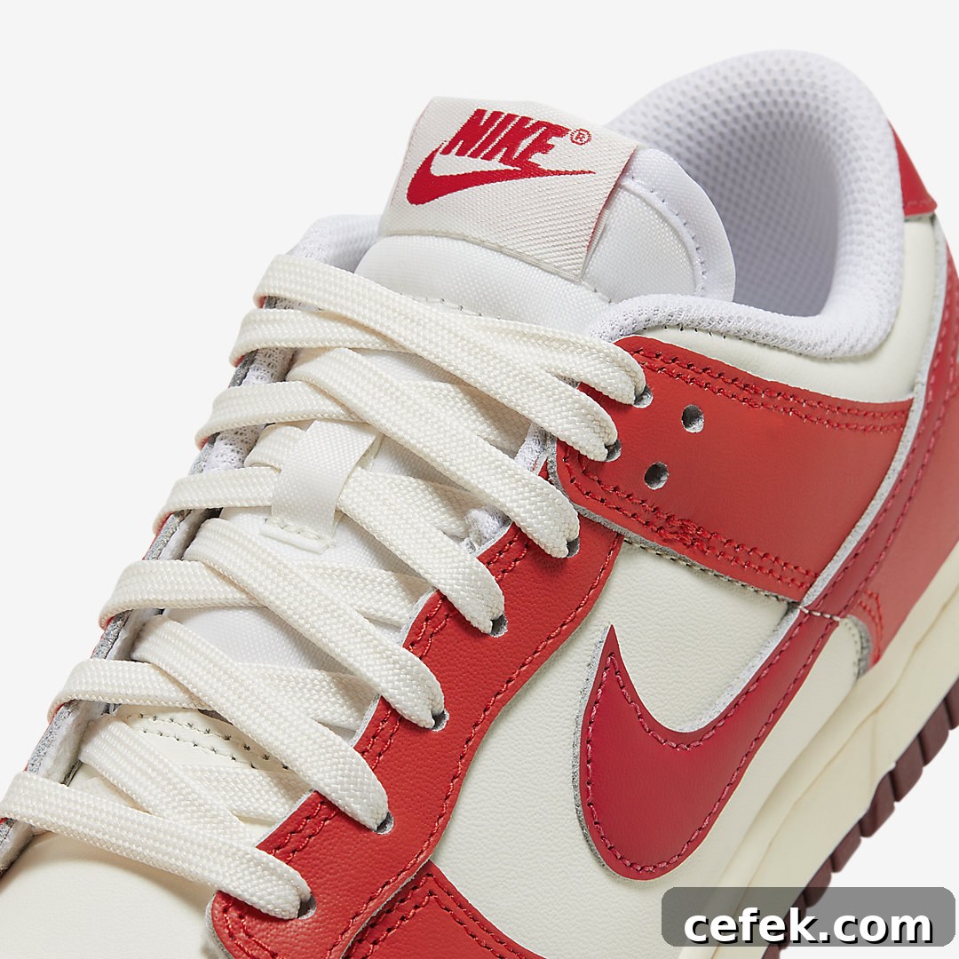 Nike Dunk Low WMNS HJ3491-161