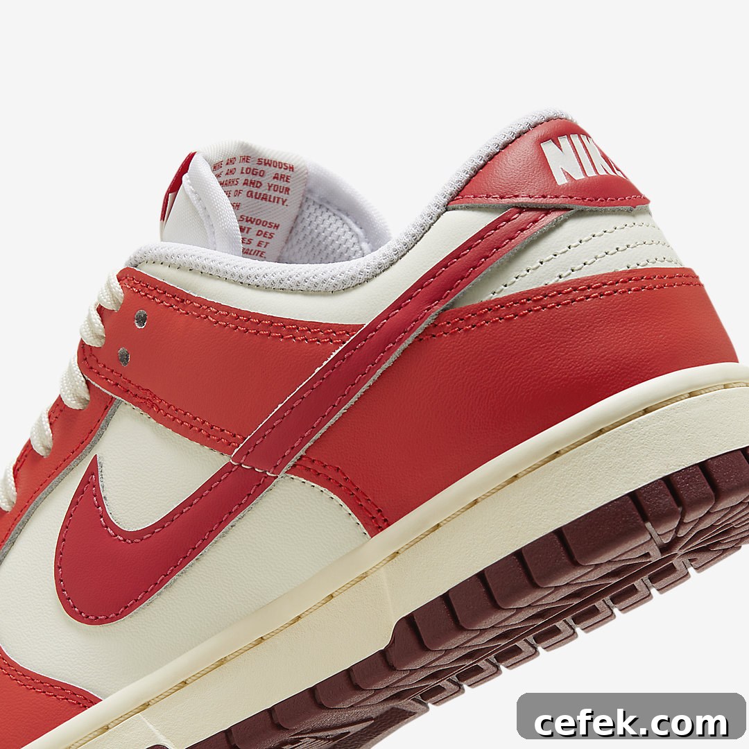 Nike Dunk Low WMNS HJ3491-161