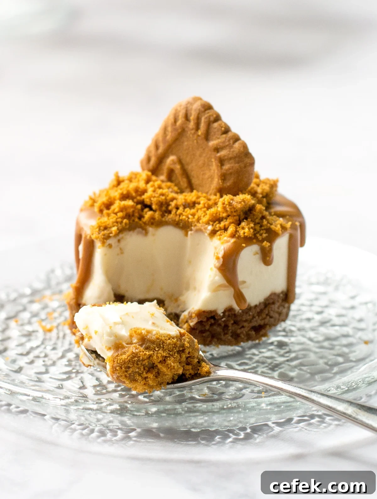 Vegan Biscoff Cheesecake