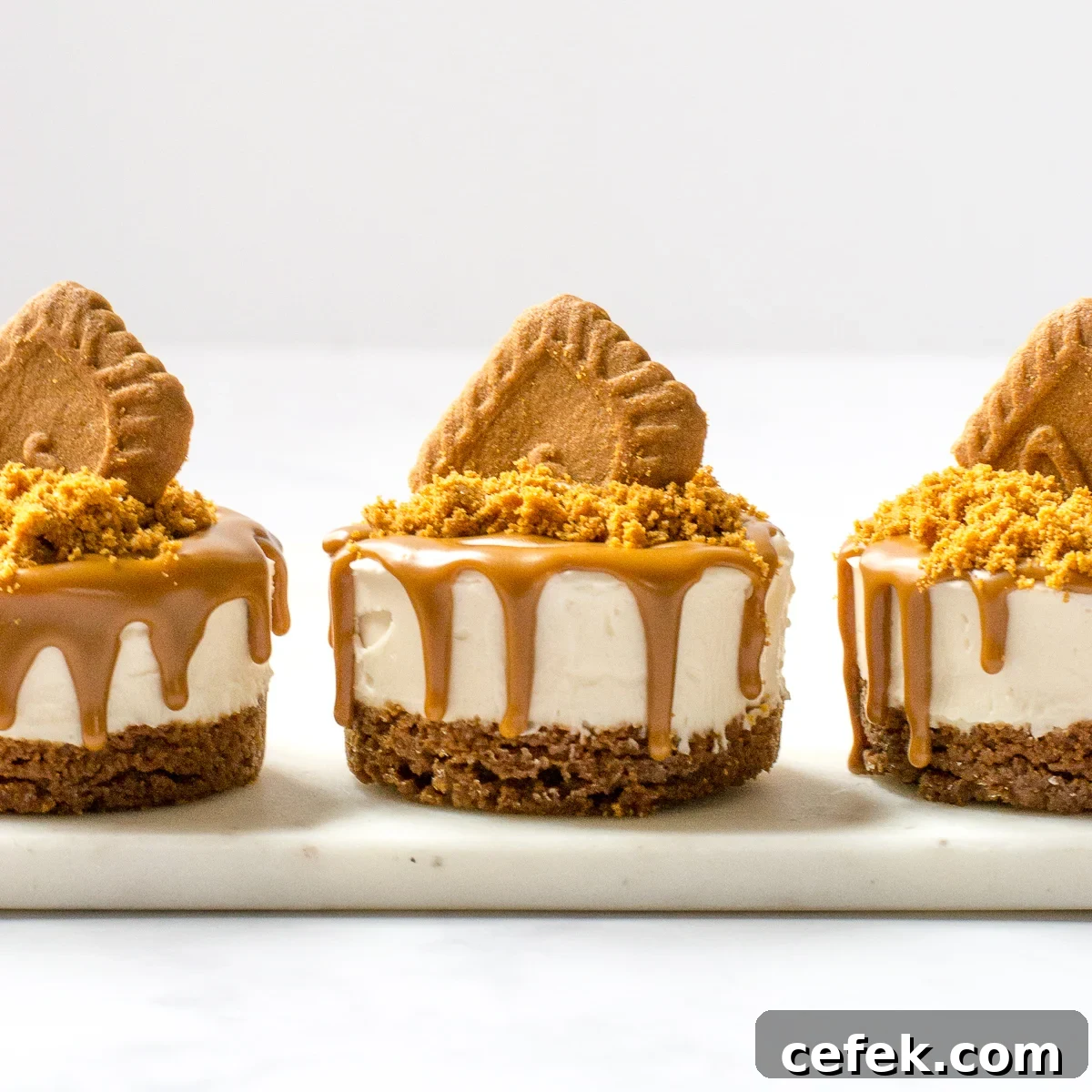 Vegan Biscoff Cheesecake