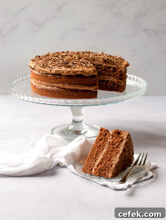 Vegan Chocolate Cake