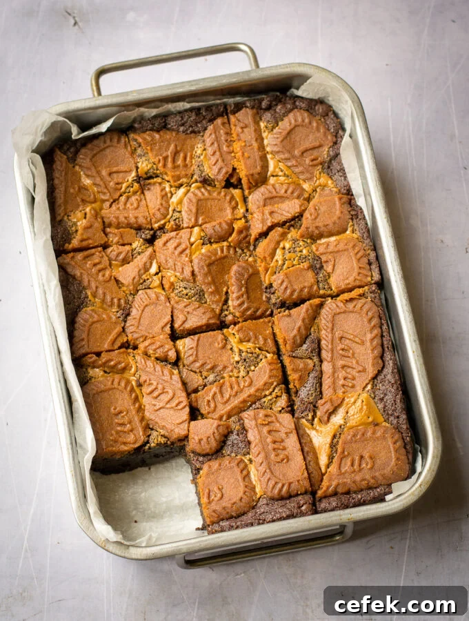 biscoff brownies