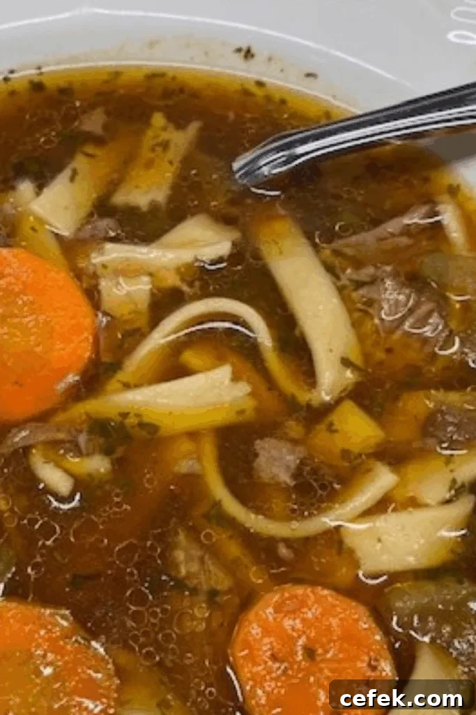 a rich an satisfying bowl of beef noodle soup to kick off Souptember
