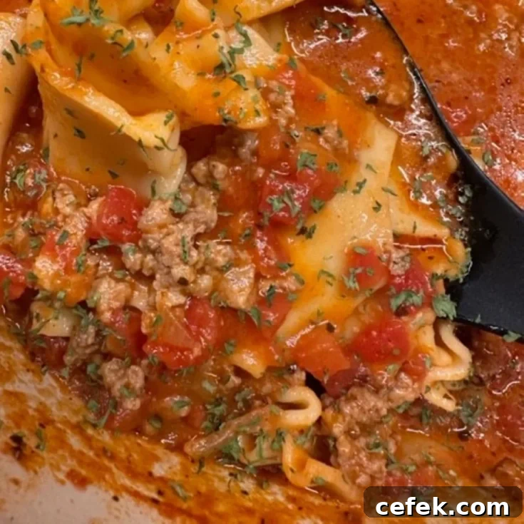 easy lasagna soup