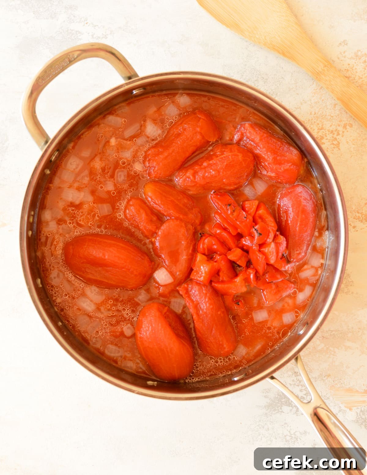 tomatoes, roasted red peppers, and onions in tomato juice