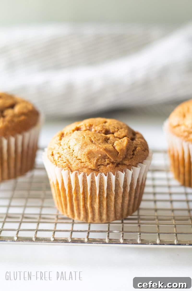 gluten-free pumpkin muffin on a wire cooling rack