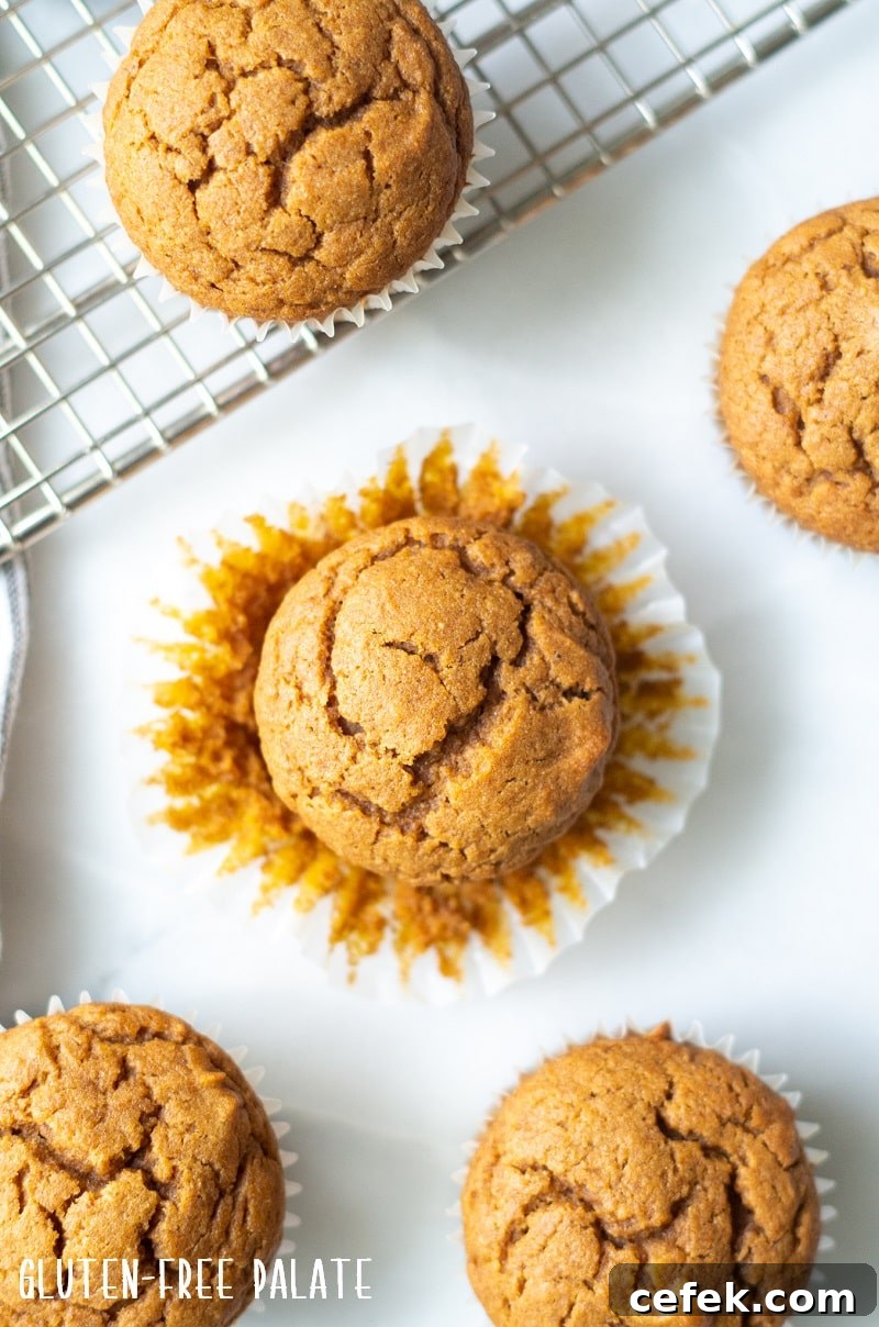 top down view of a gluten free pumpkin muffin