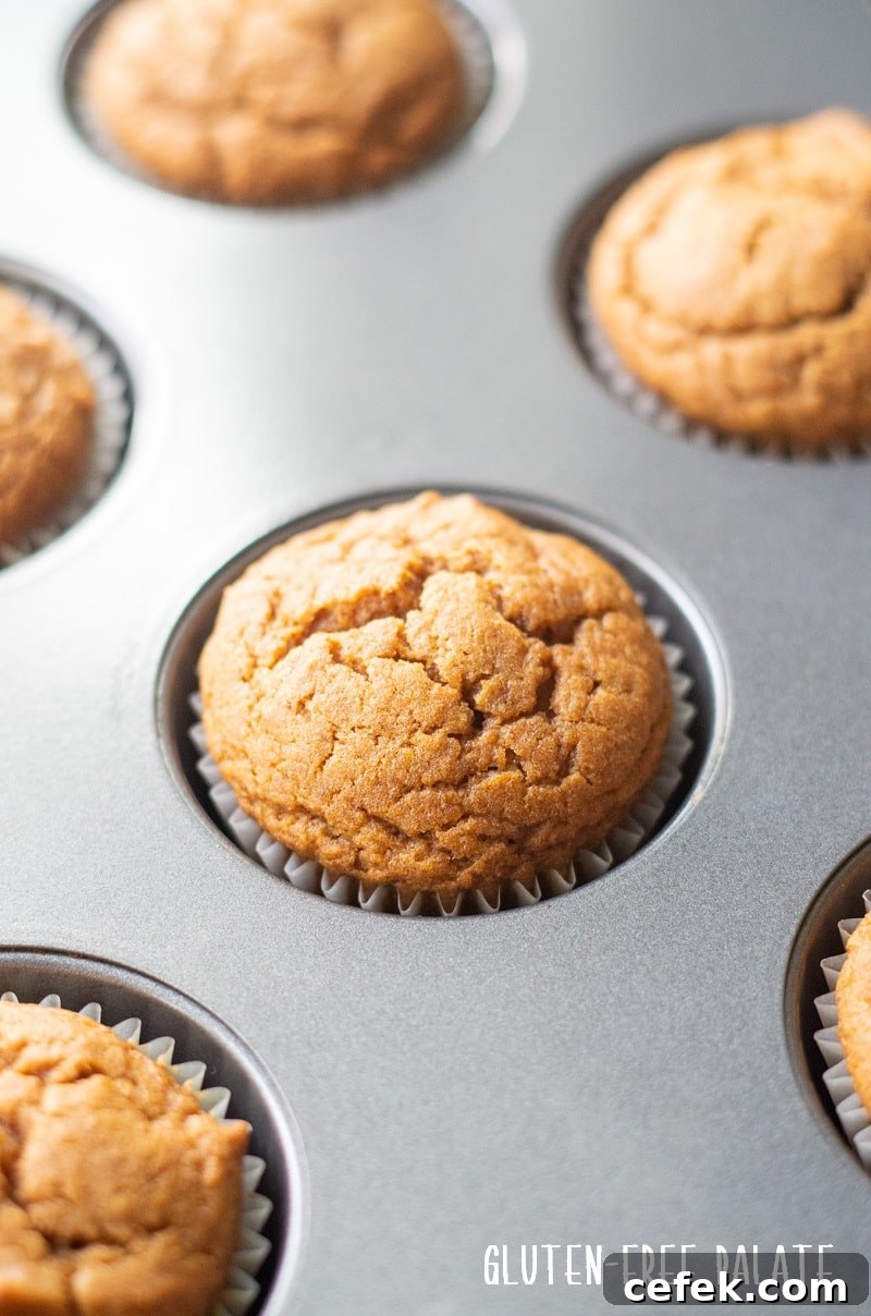 gluten free pumpkin muffin in a muffin baking pan