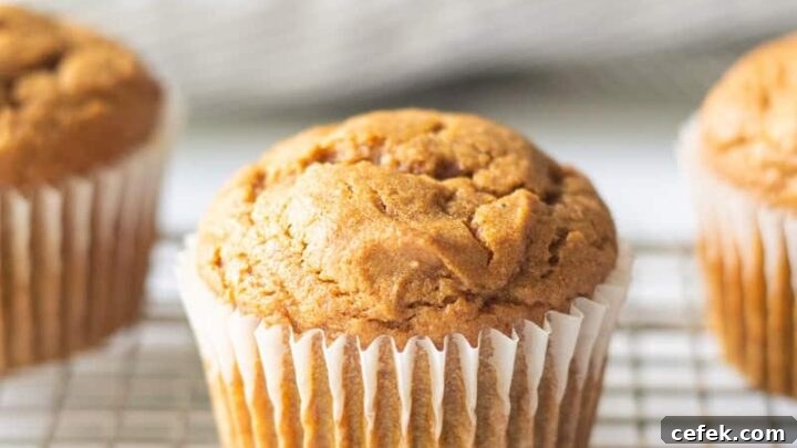 gluten-free pumpkin muffin on a wire cooling rack