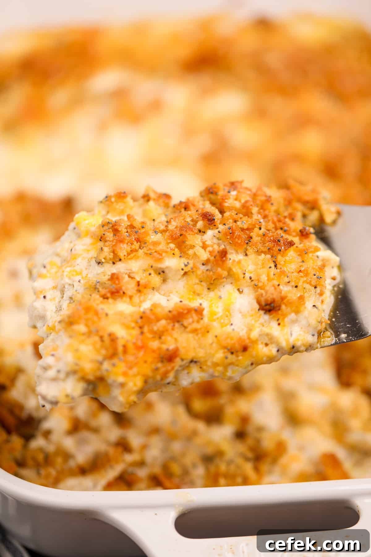A close up of a creamy casserole topped with a cruncy topping featuring poppy seeds.
