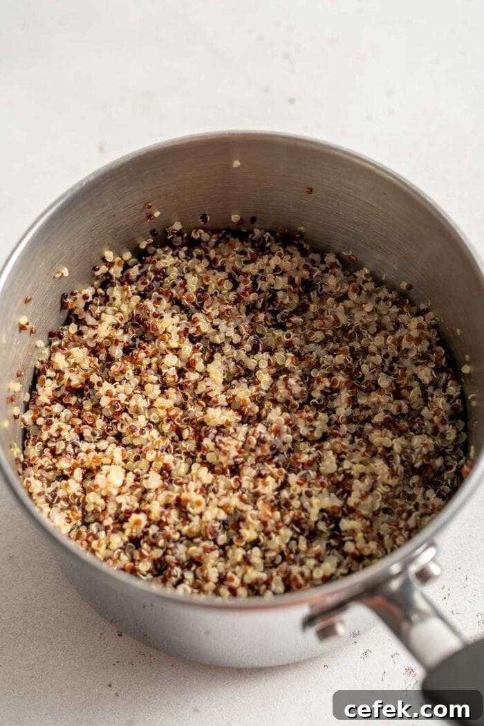 Cooked quinoa in a pot.