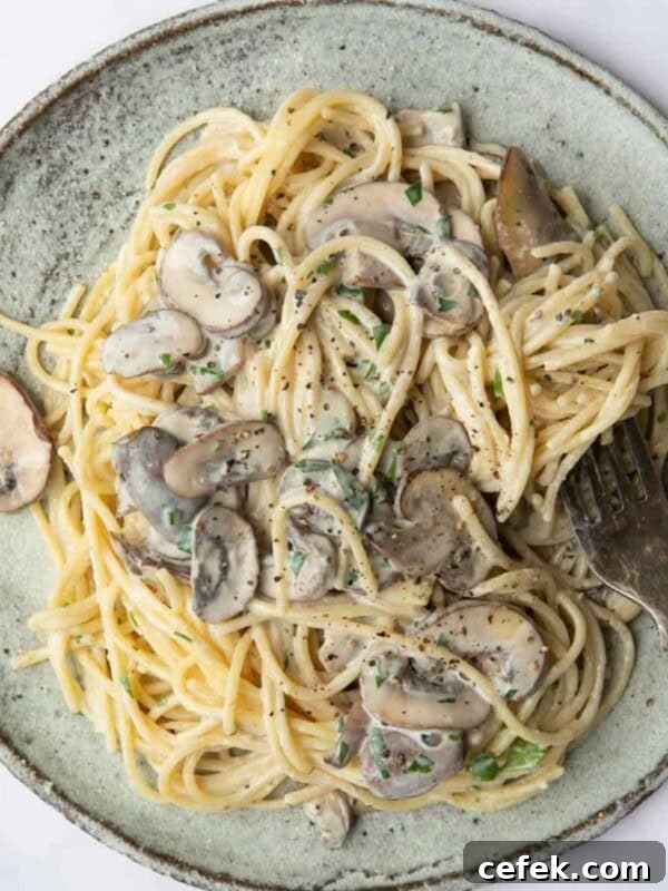 Vegan Mushroom Pasta served on a blue plate with a silver fork
