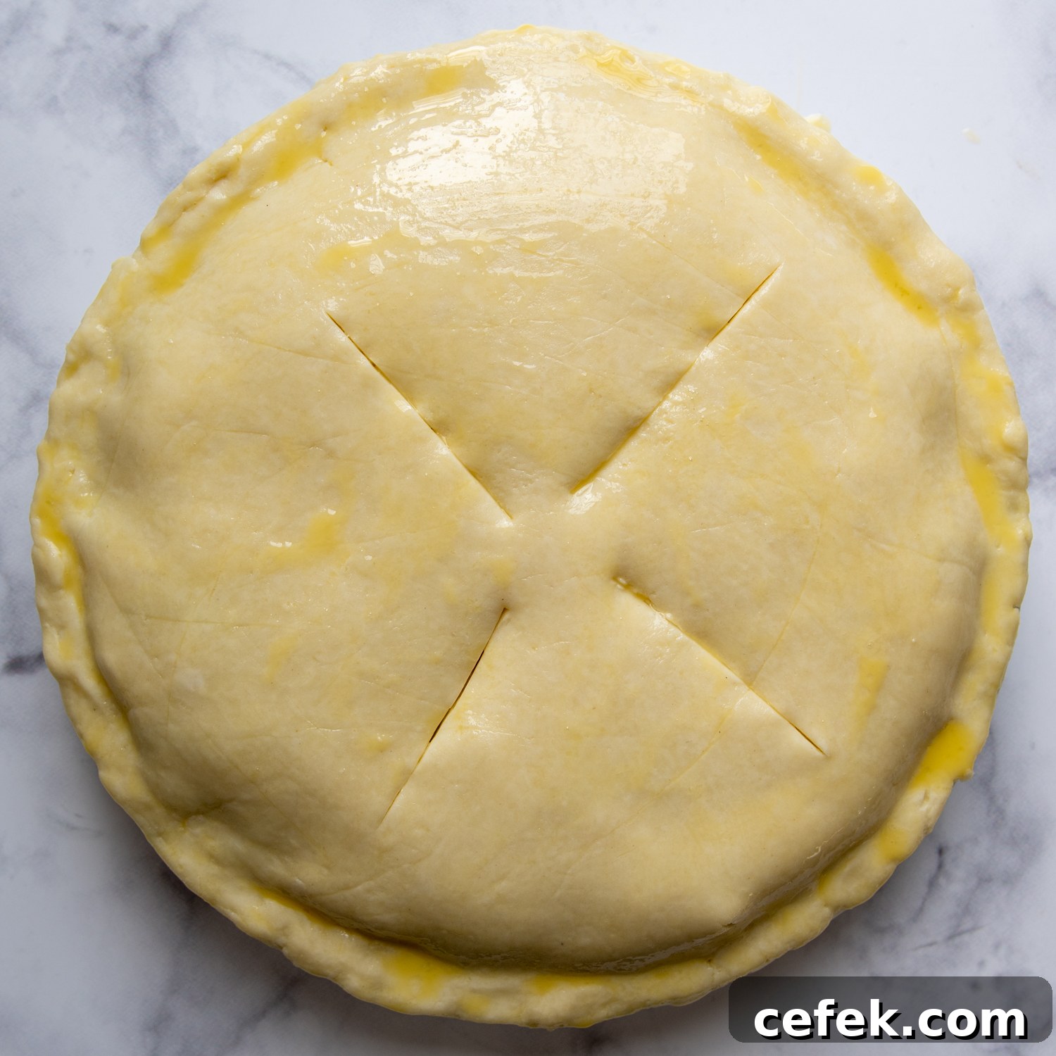 slits cut into the top crust.