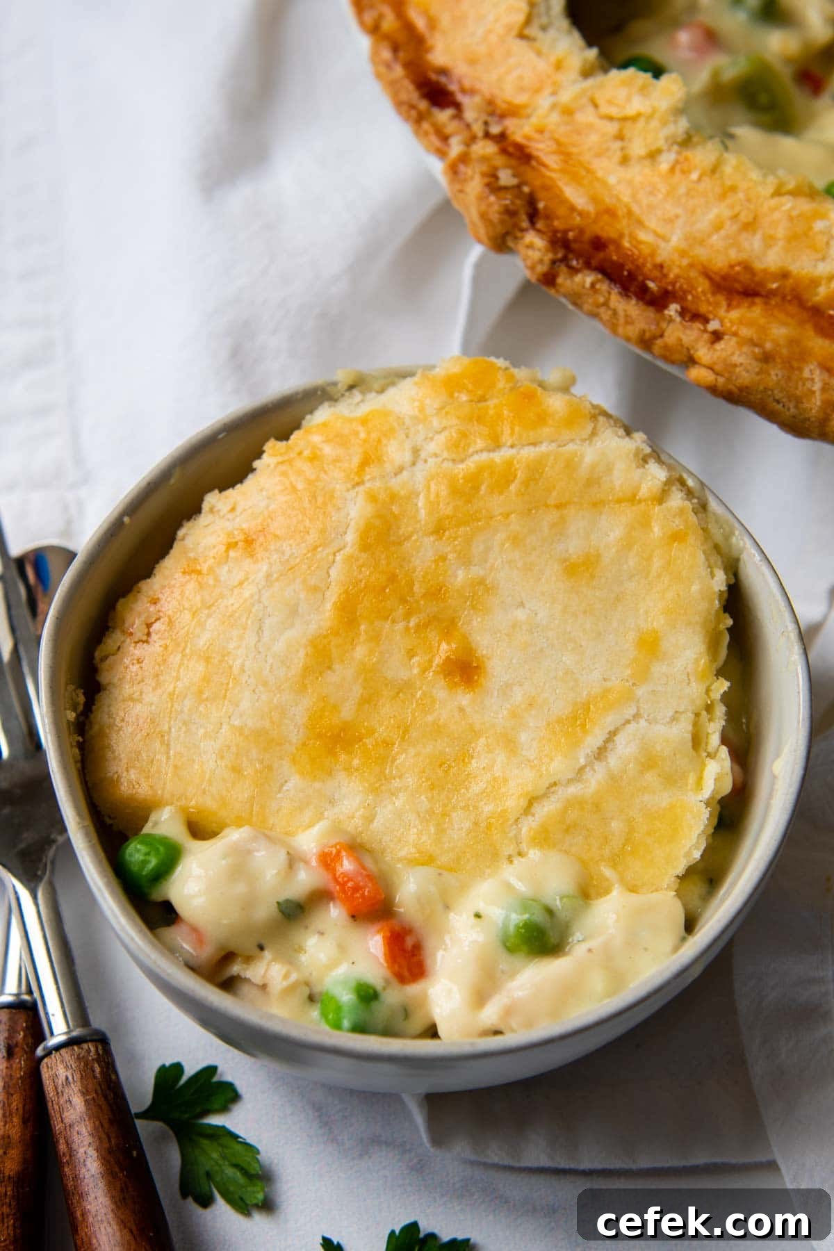 a serving of pot pie in a white bowl
