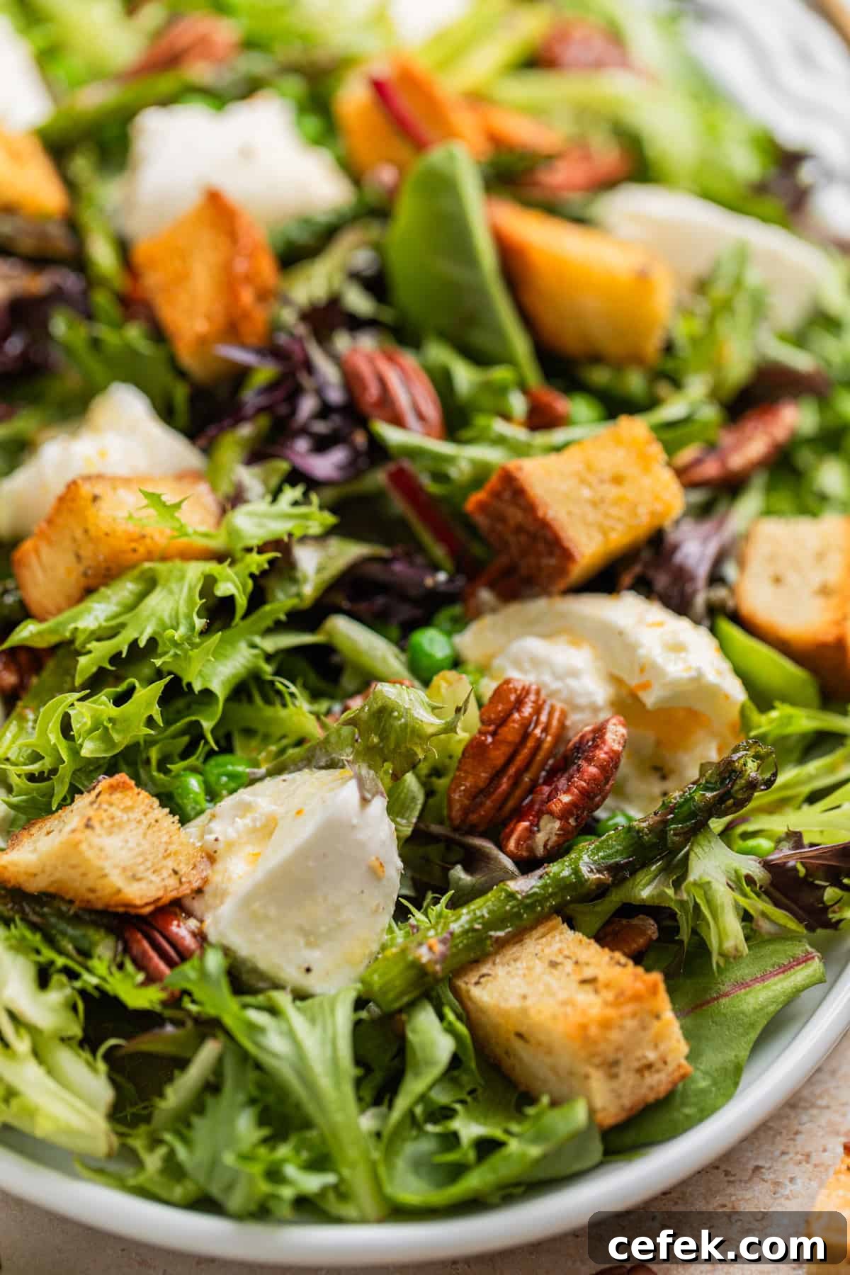 Dressing topped burrata and spring green salad.