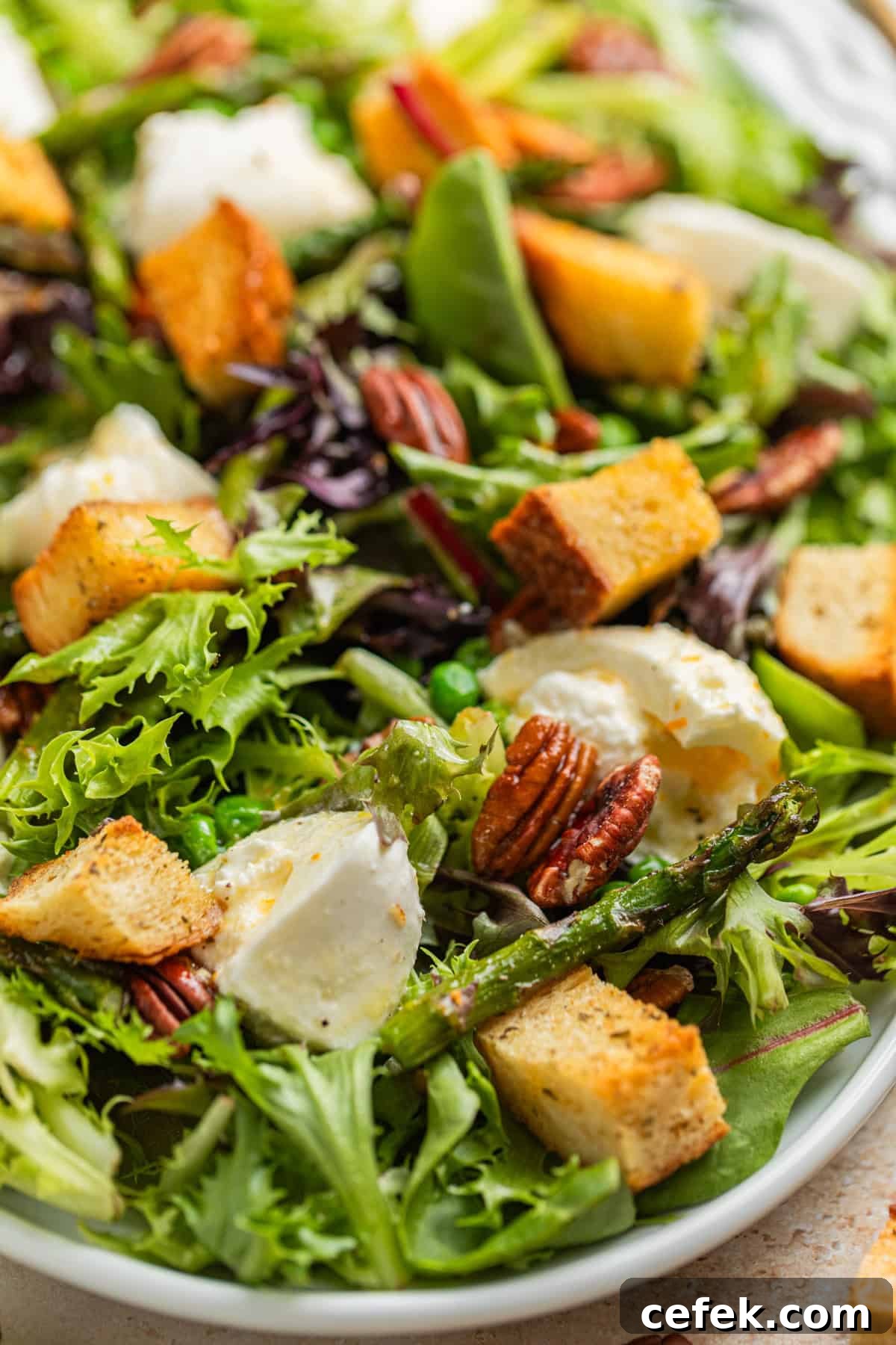 Green salad topped with burrata cheese, sourdough croutons, peas and asparagus and a citrus dressing.