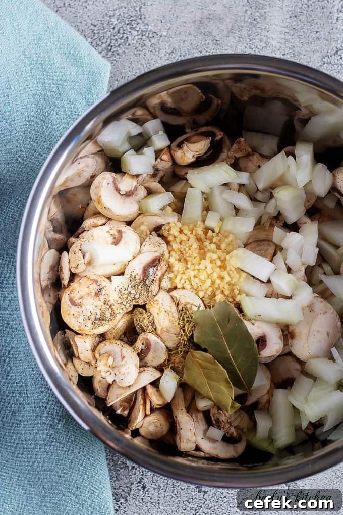 An aerial photo of the ingredients in the instant pot pressure cooker just before sealing.