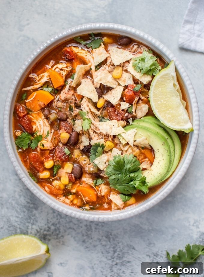 19. Crockpot Mexican Chicken Soup