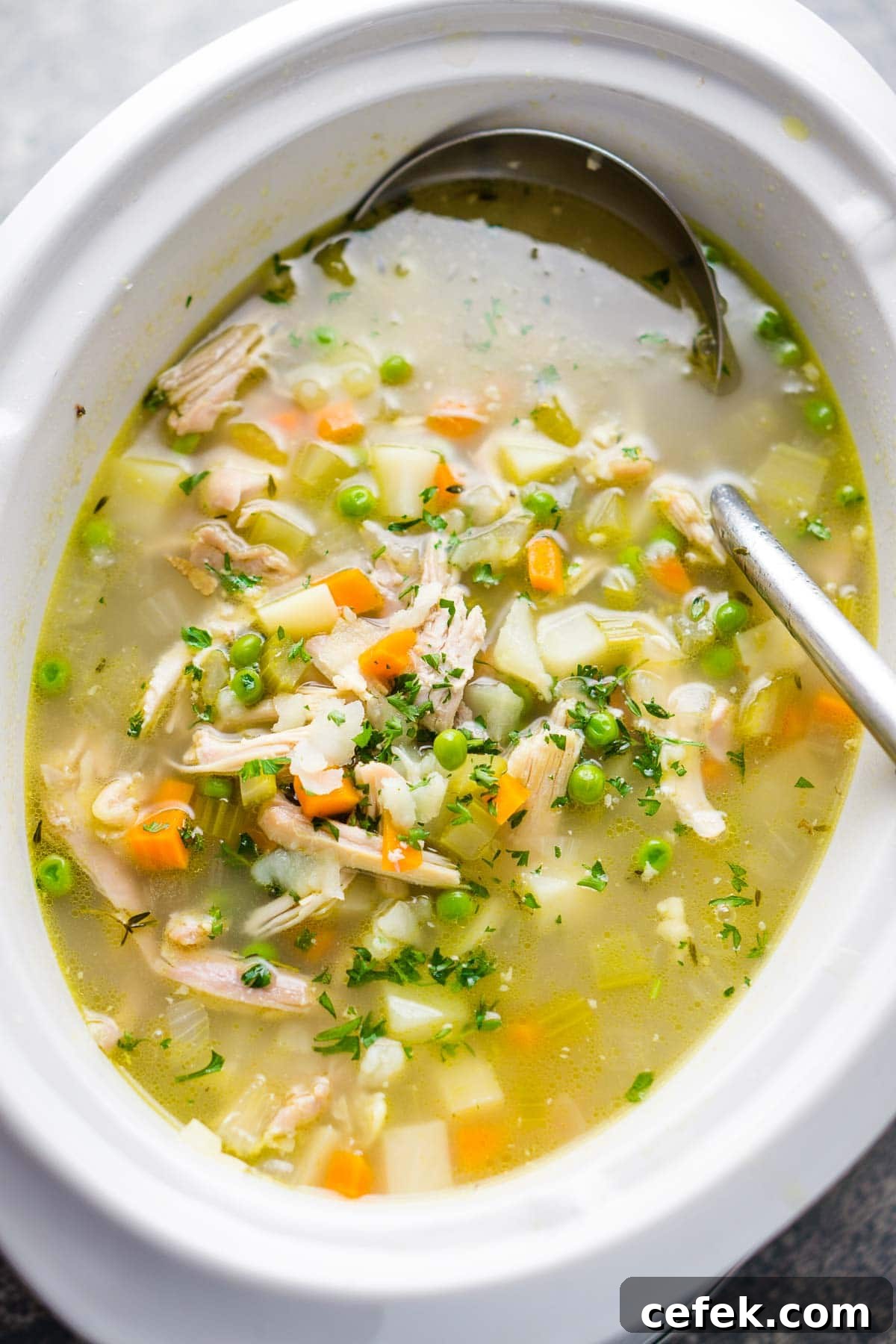 21. Chicken Vegetable Crockpot Soup