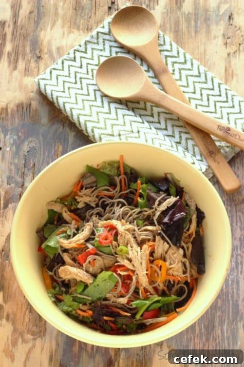 6 Asian Chicken Salad Bowls