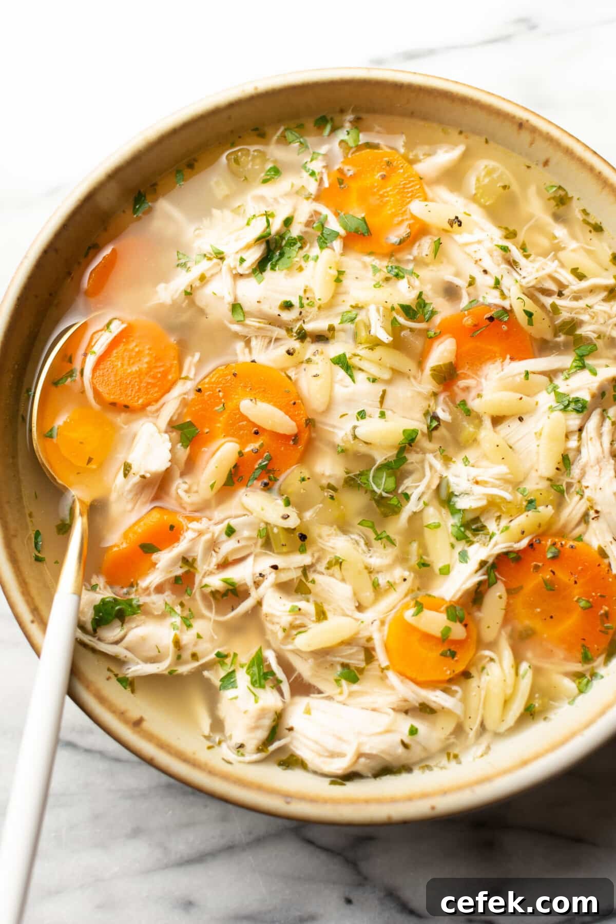 7. Crockpot Lemon Chicken Orzo Soup