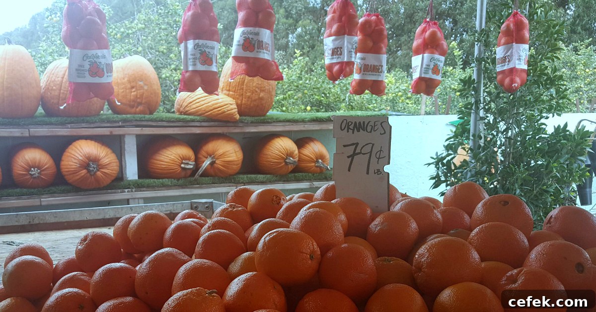 santiagos fruit stand oranges pumpkins