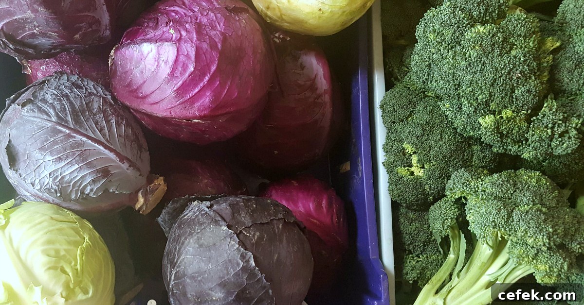 santiagos fruit stand cabbage broccoli
