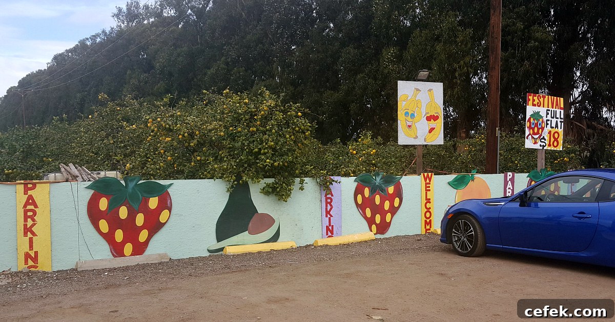 santiagos fruit stand parking