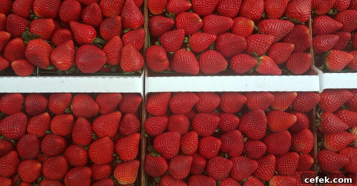 santiagos fruit stand strawberries