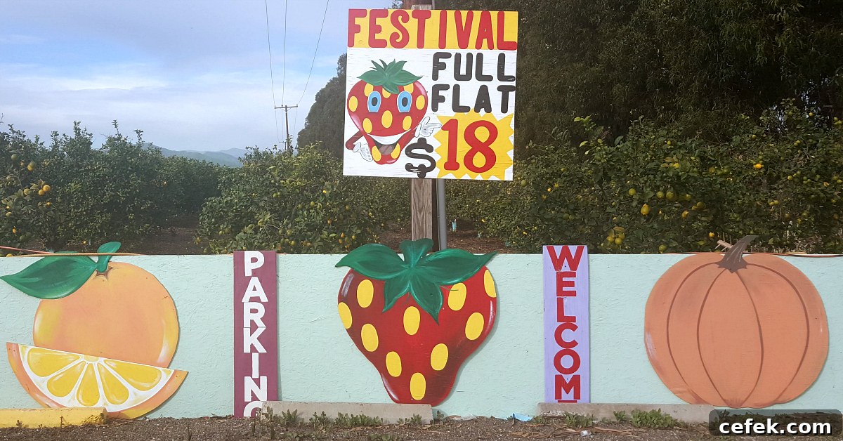 santiagos fruit stand signs